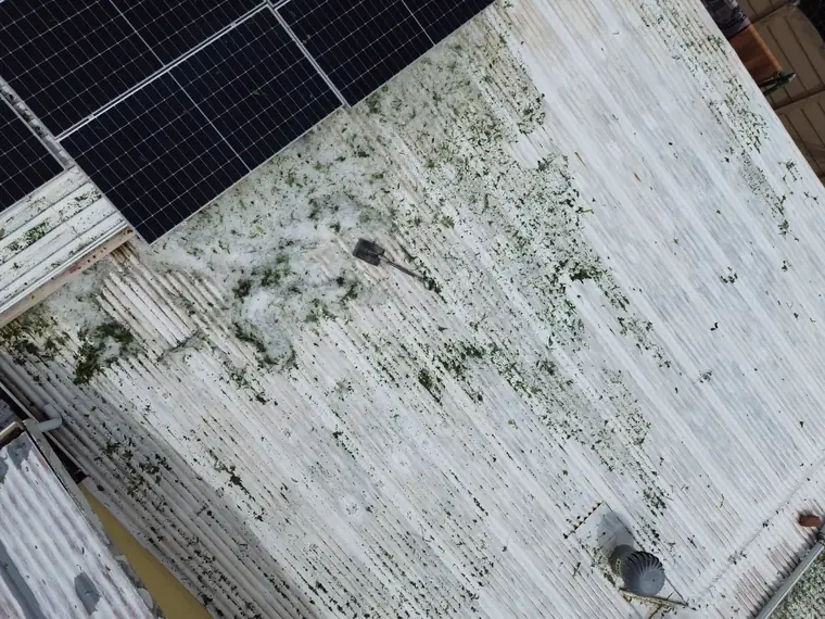 Weathered fibre cement sheeting covered in moss and algae